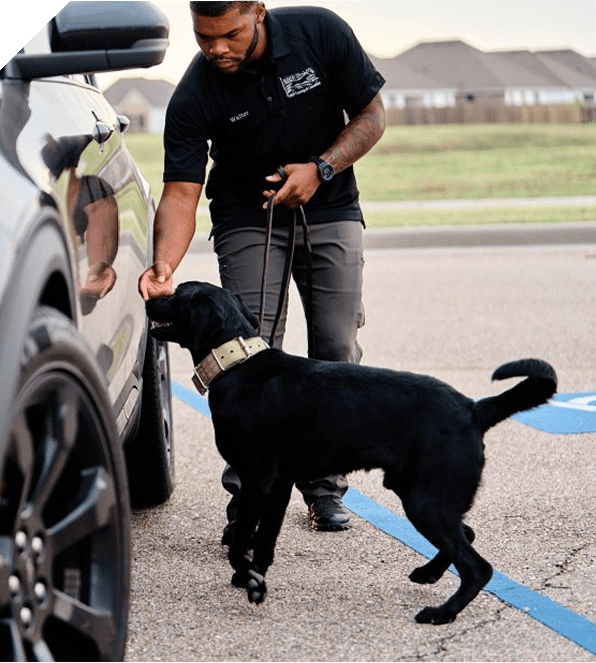 A police officer with a black dog on a leash near a car.