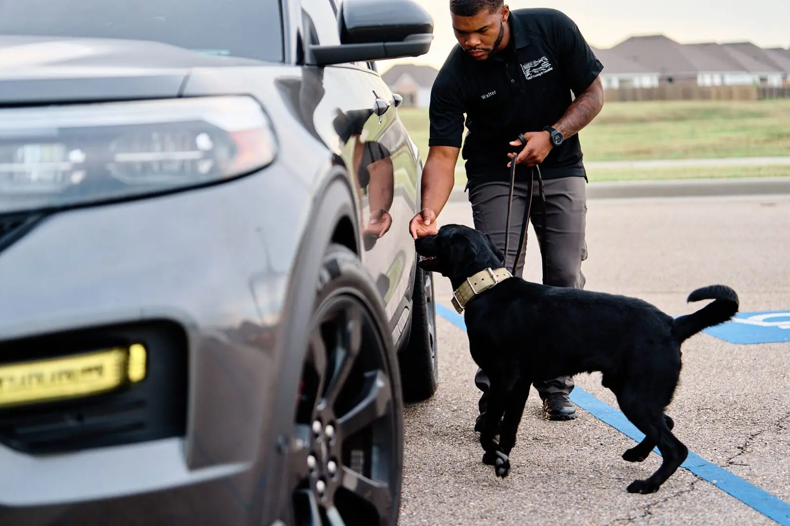 A man interacts with a black dog near a car's wheel.