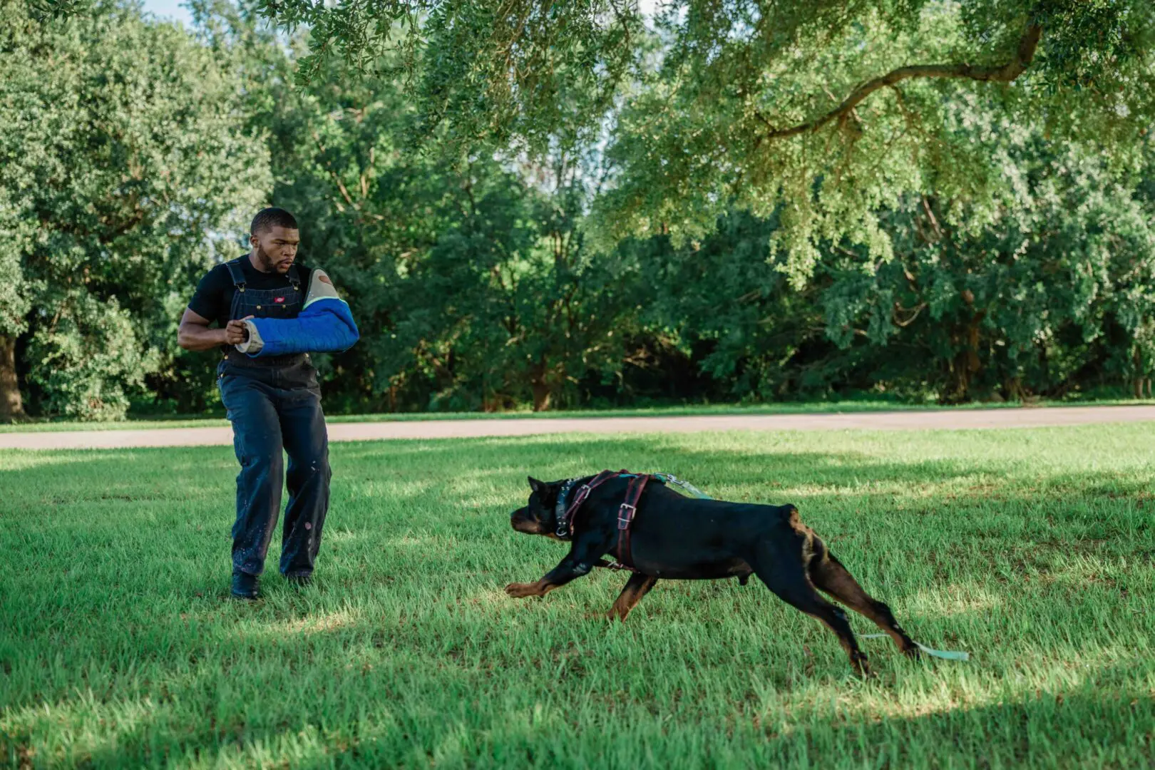 A man playing fetch with a dog in a park.