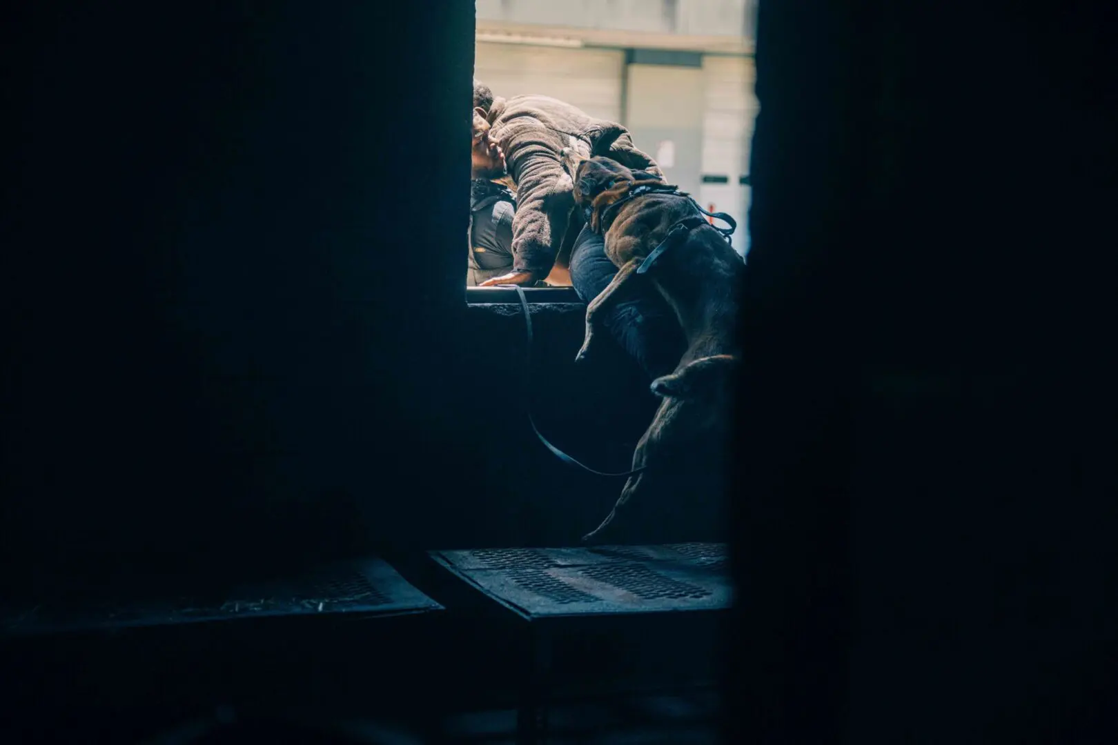 Two cats sitting closely by a window, immersed in their surroundings.